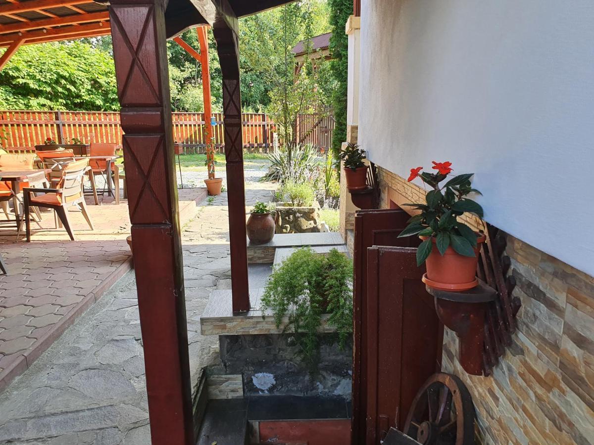 Pension Agnes Vişeu de Sus Exterior foto