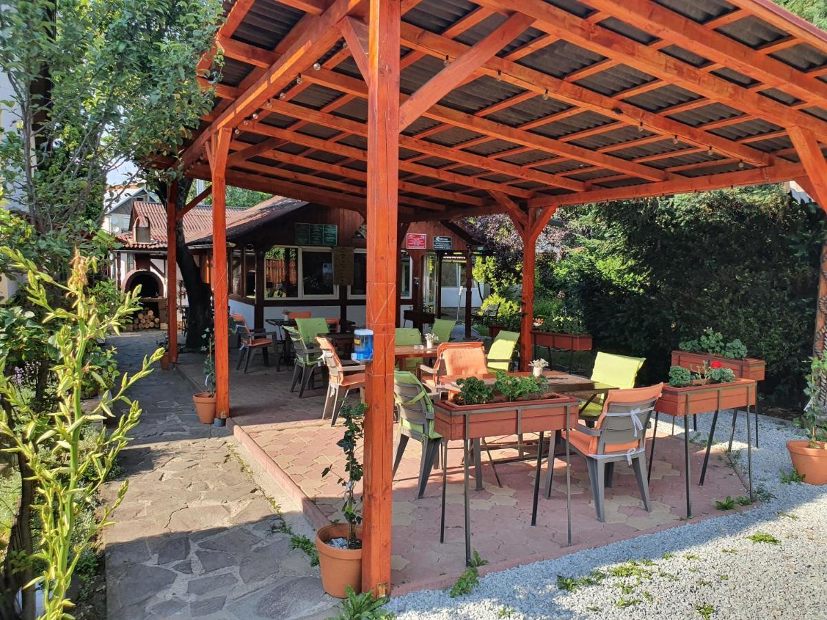 Pension Agnes Vişeu de Sus Exterior foto
