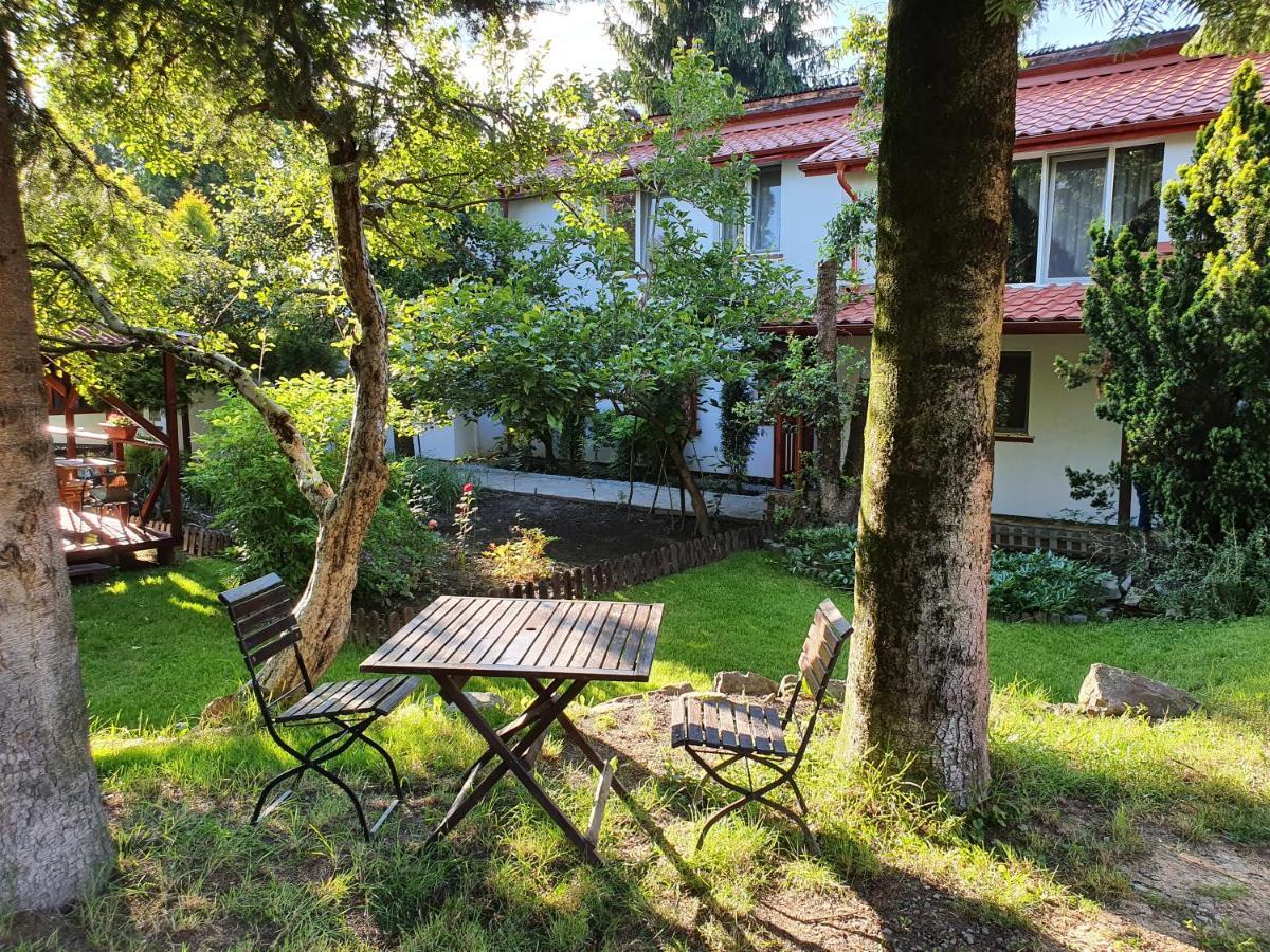 Pension Agnes Vişeu de Sus Exterior foto