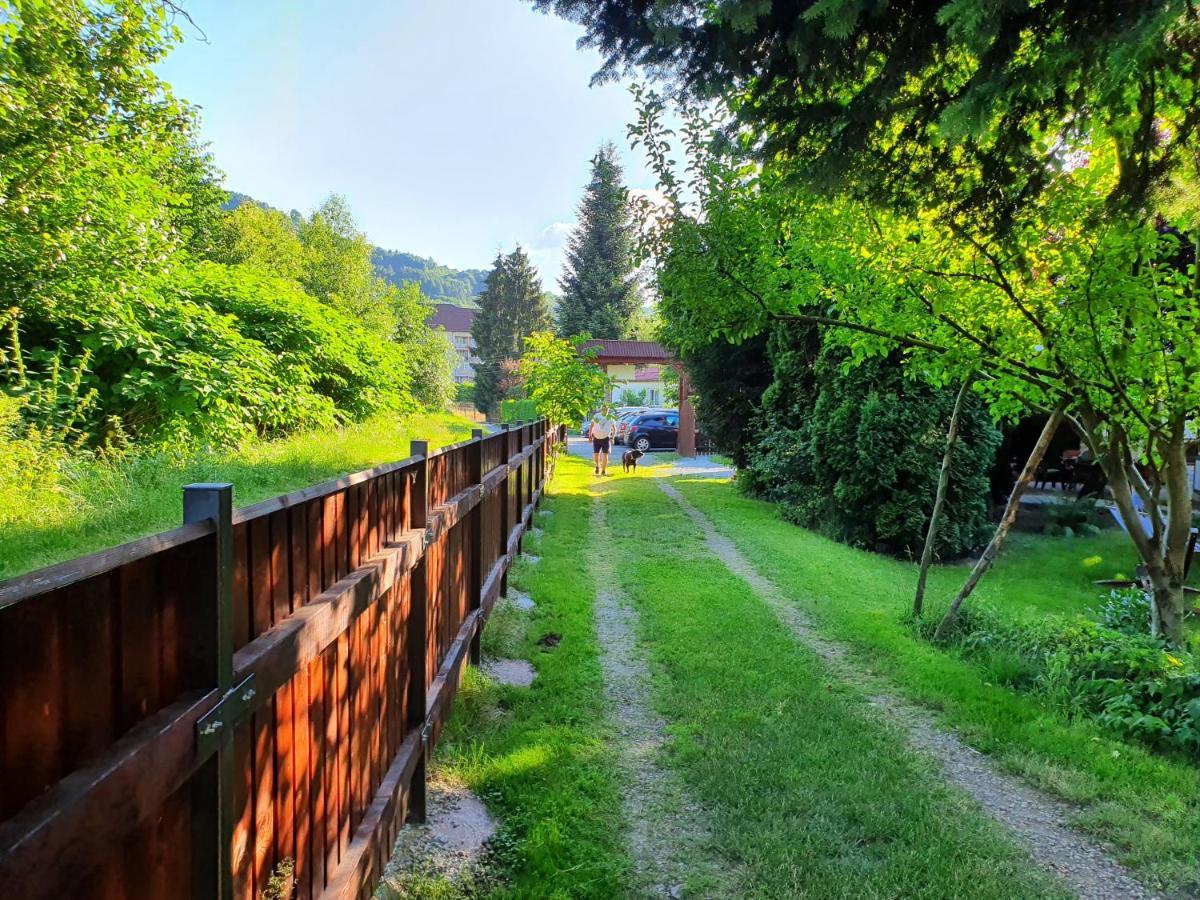 Pension Agnes Vişeu de Sus Exterior foto