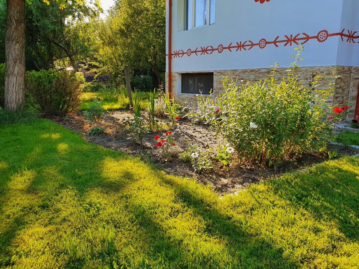 Pension Agnes Vişeu de Sus Exterior foto