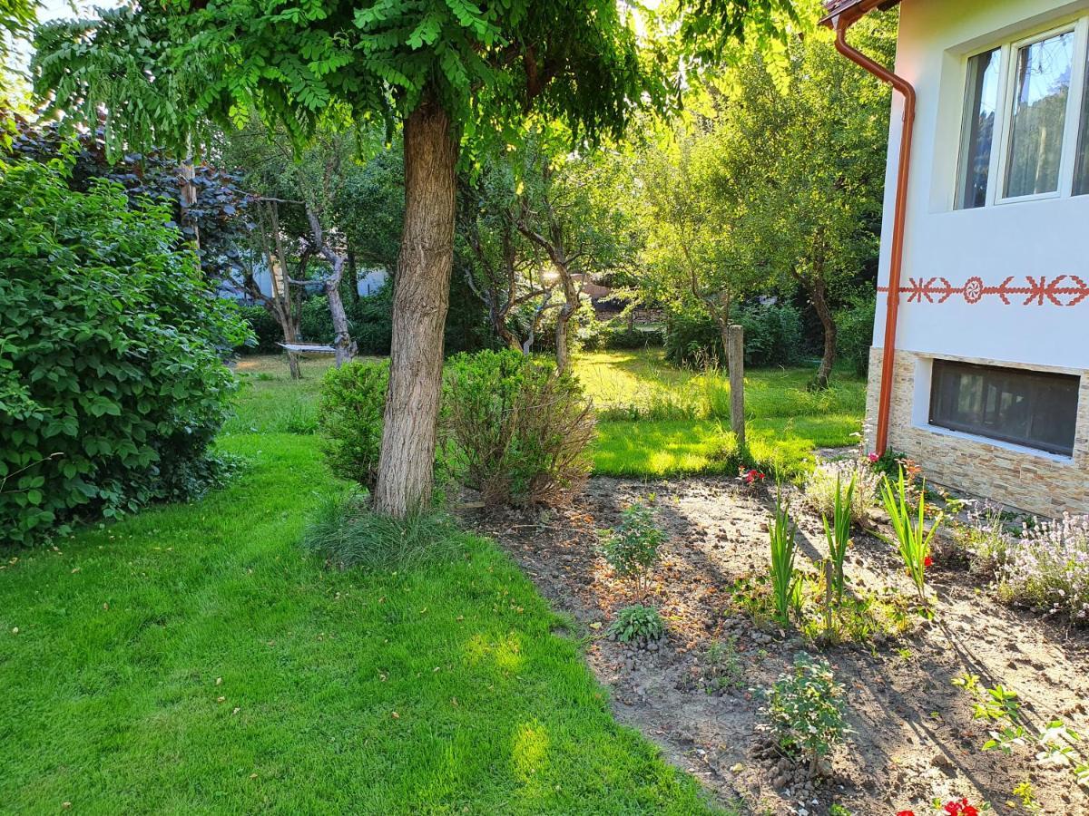 Pension Agnes Vişeu de Sus Exterior foto