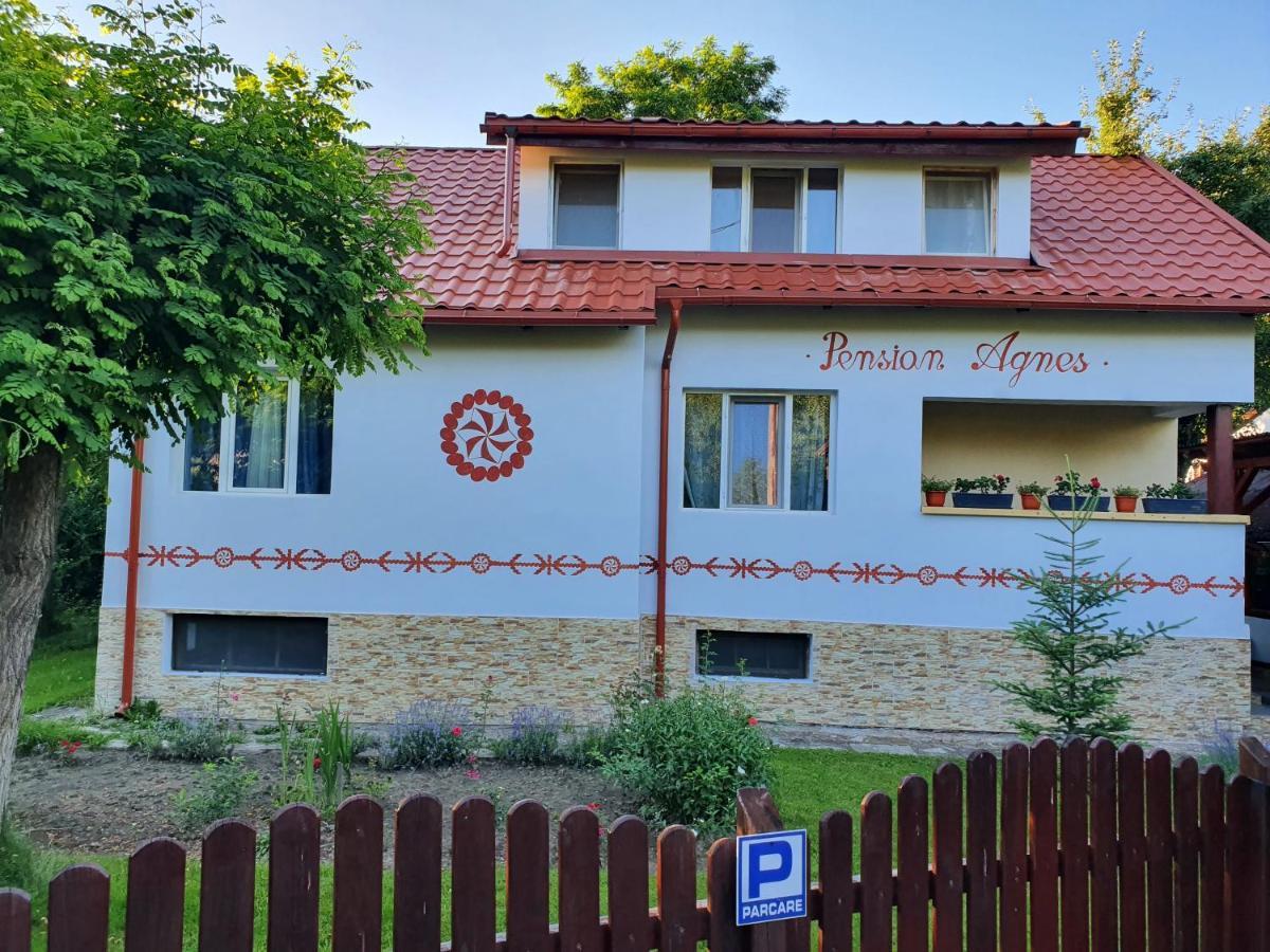 Pension Agnes Vişeu de Sus Exterior foto