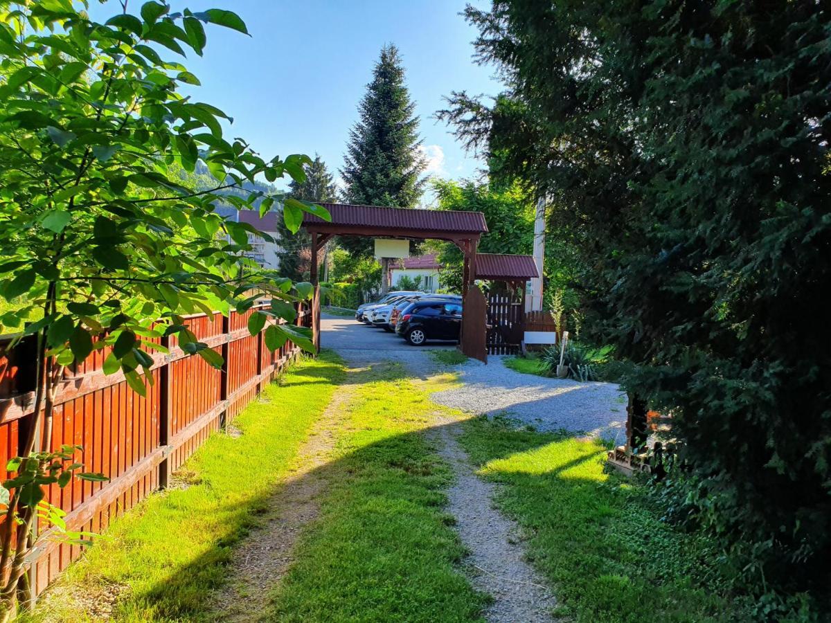 Pension Agnes Vişeu de Sus Exterior foto