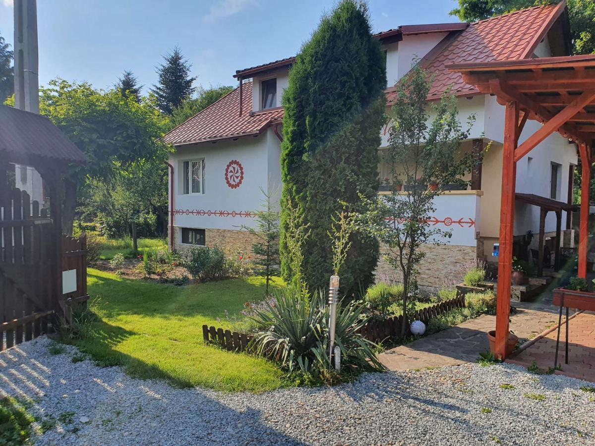 Pension Agnes Vişeu de Sus Exterior foto