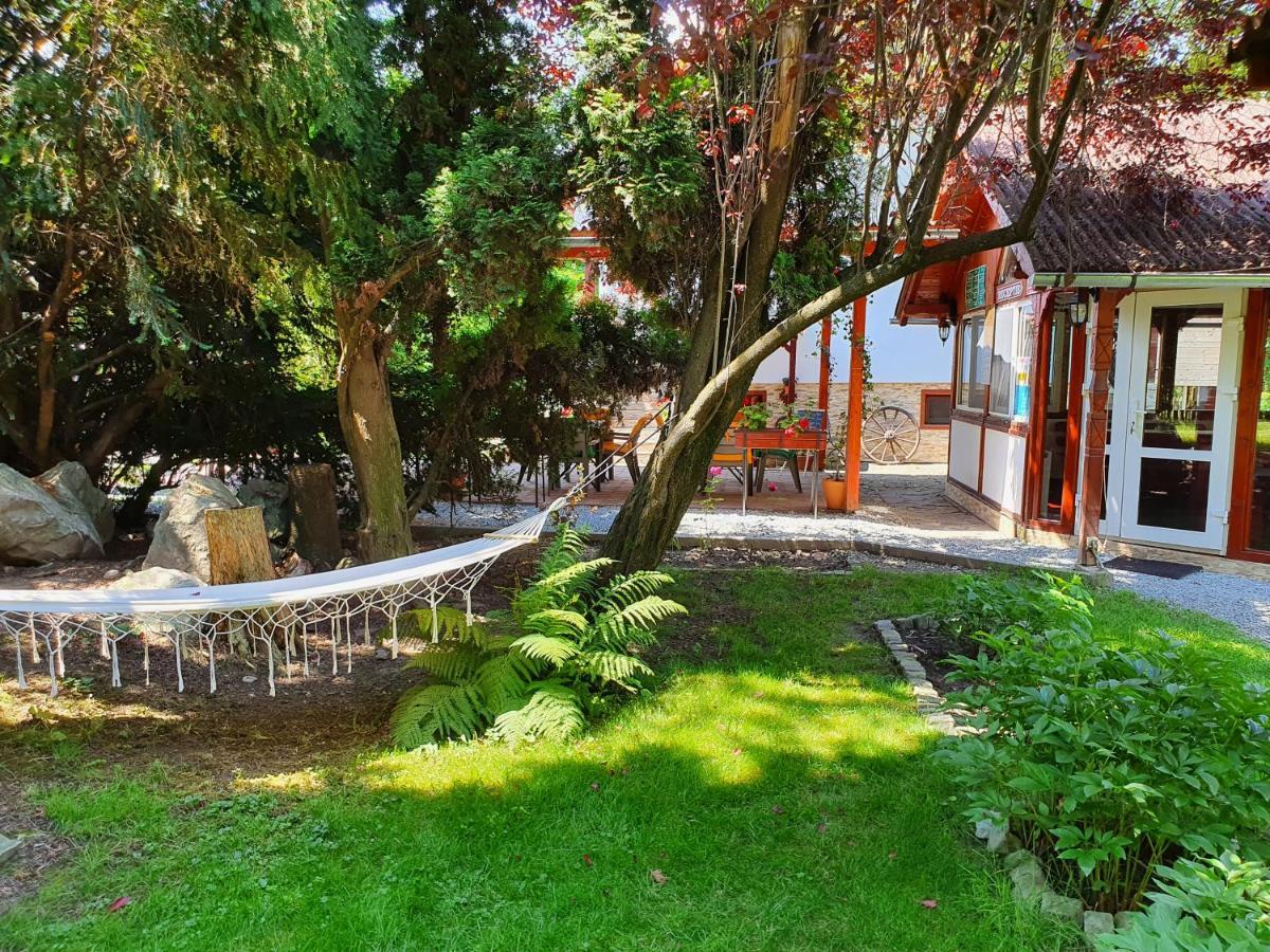 Pension Agnes Vişeu de Sus Exterior foto