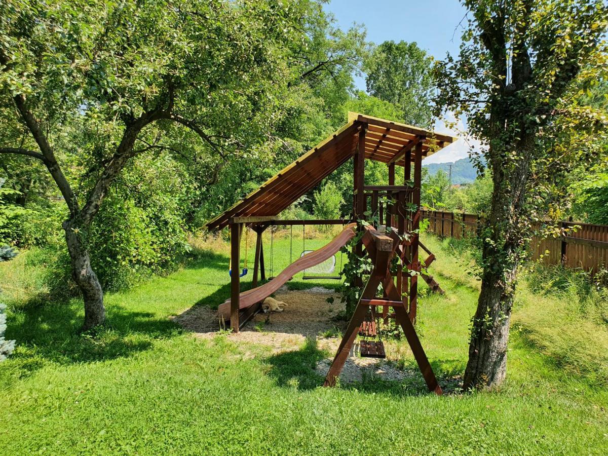 Pension Agnes Vişeu de Sus Exterior foto