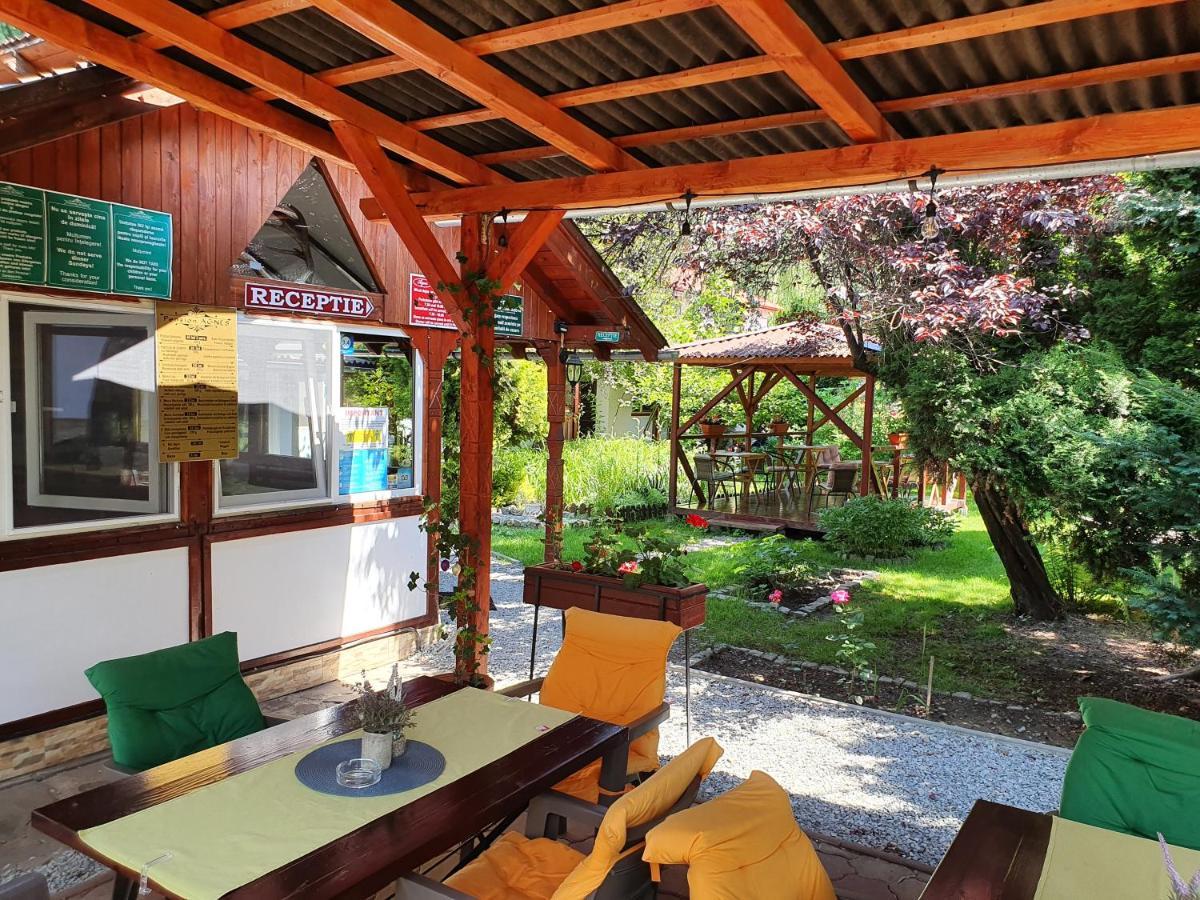 Pension Agnes Vişeu de Sus Exterior foto