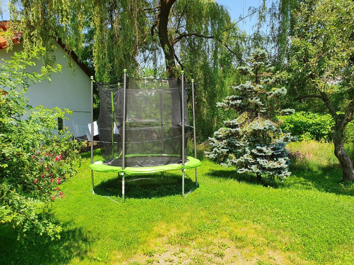 Pension Agnes Vişeu de Sus Exterior foto