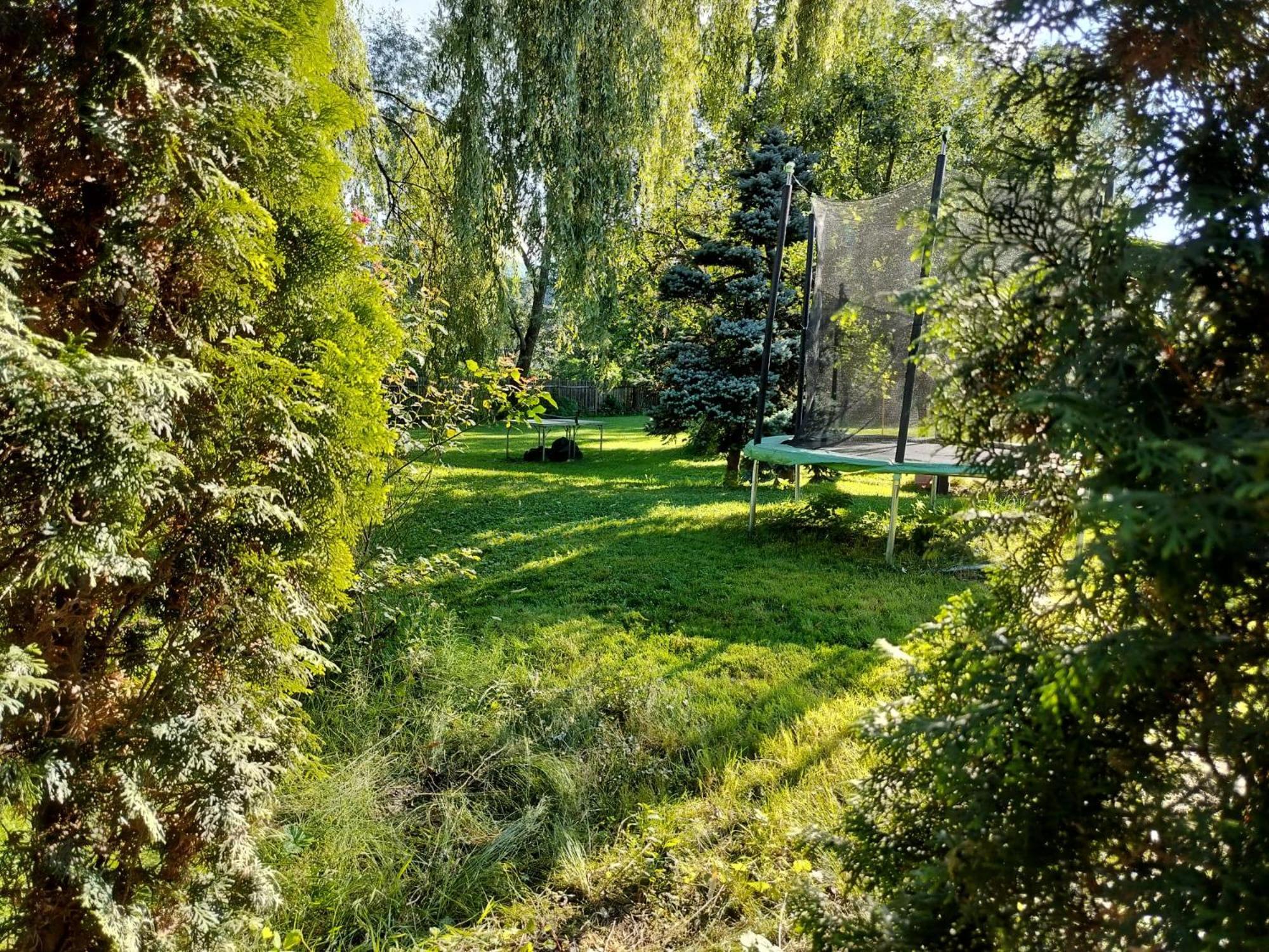 Pension Agnes Vişeu de Sus Exterior foto