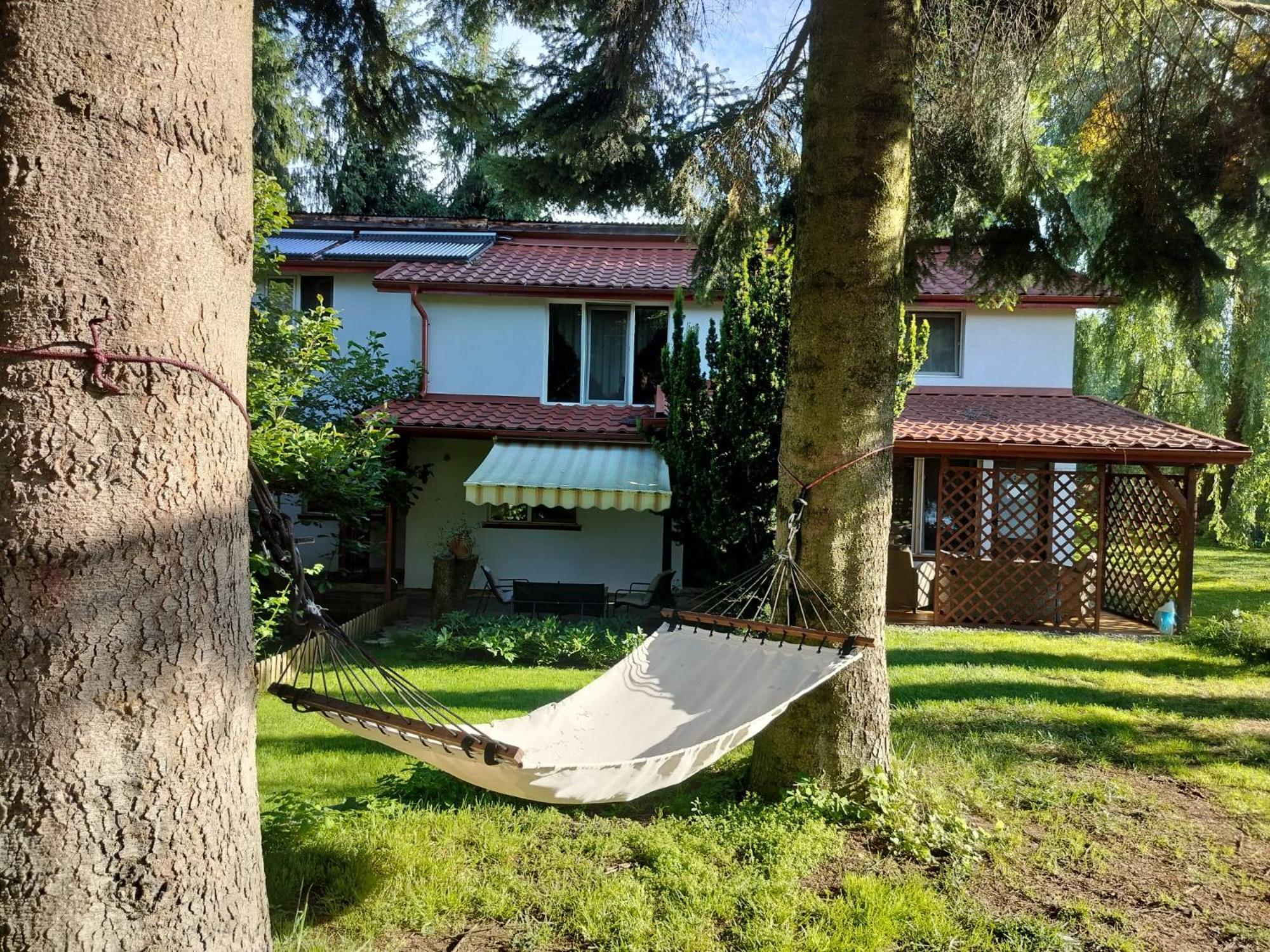 Pension Agnes Vişeu de Sus Exterior foto