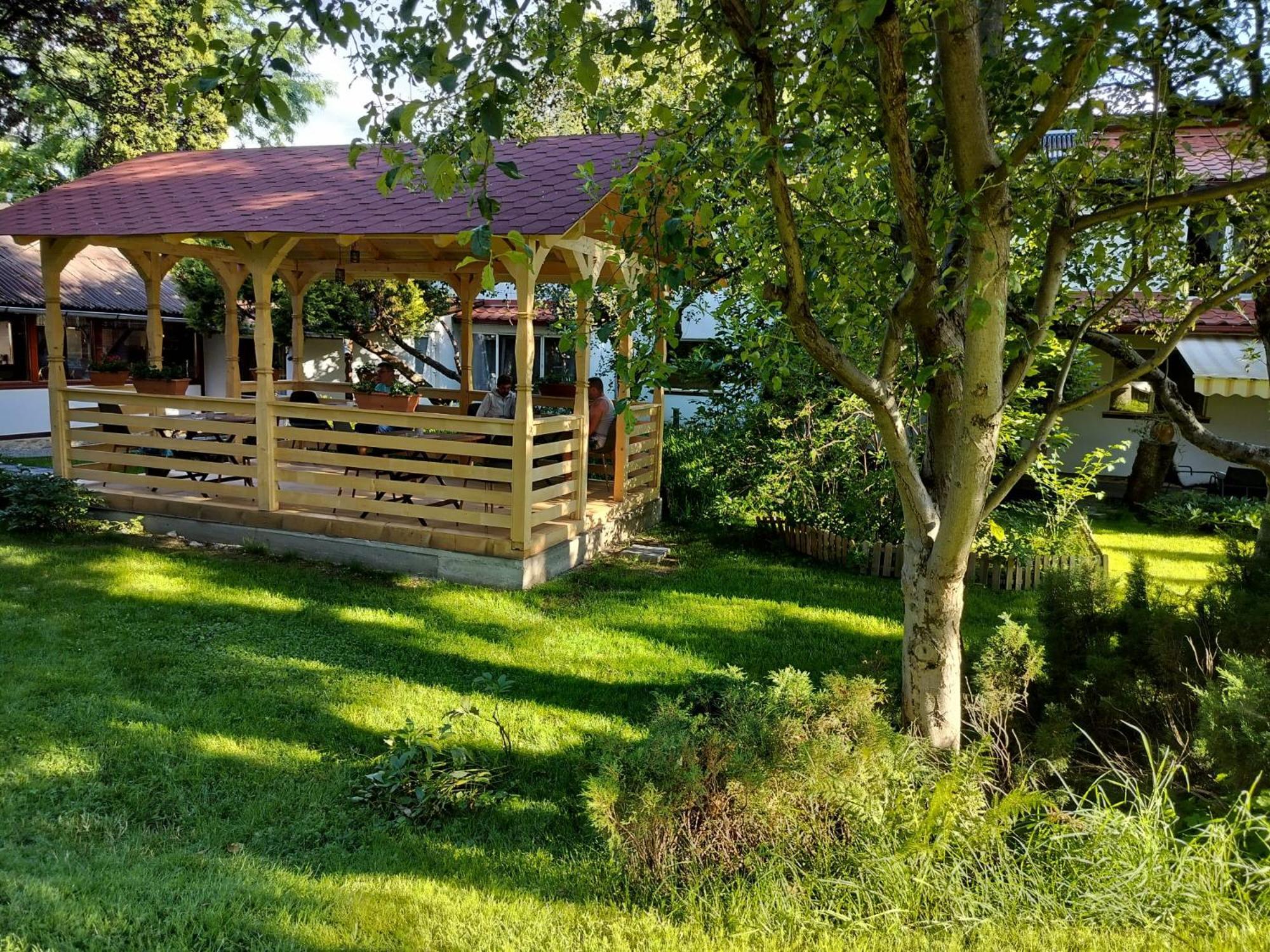 Pension Agnes Vişeu de Sus Exterior foto